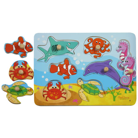 RGS -Underwater Peg Puzzle