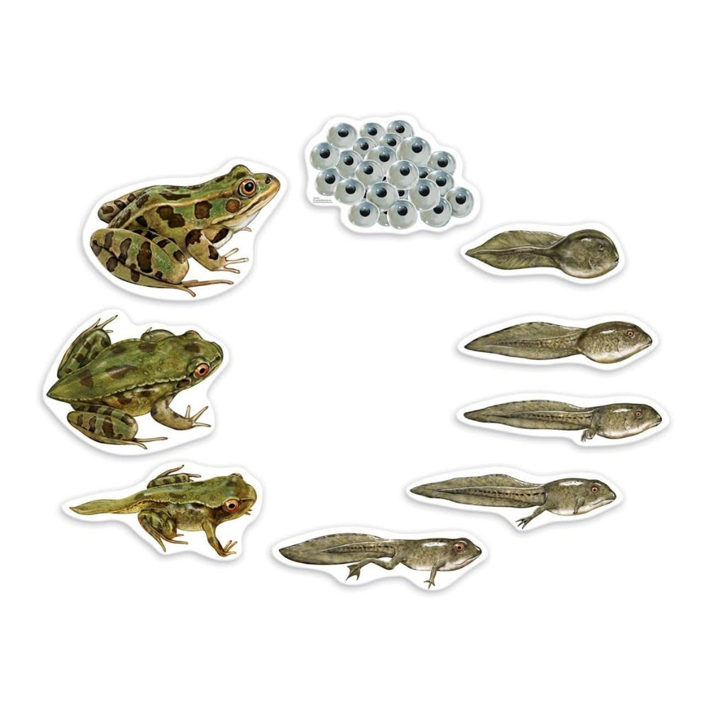 Classroom Science kit - photo 6