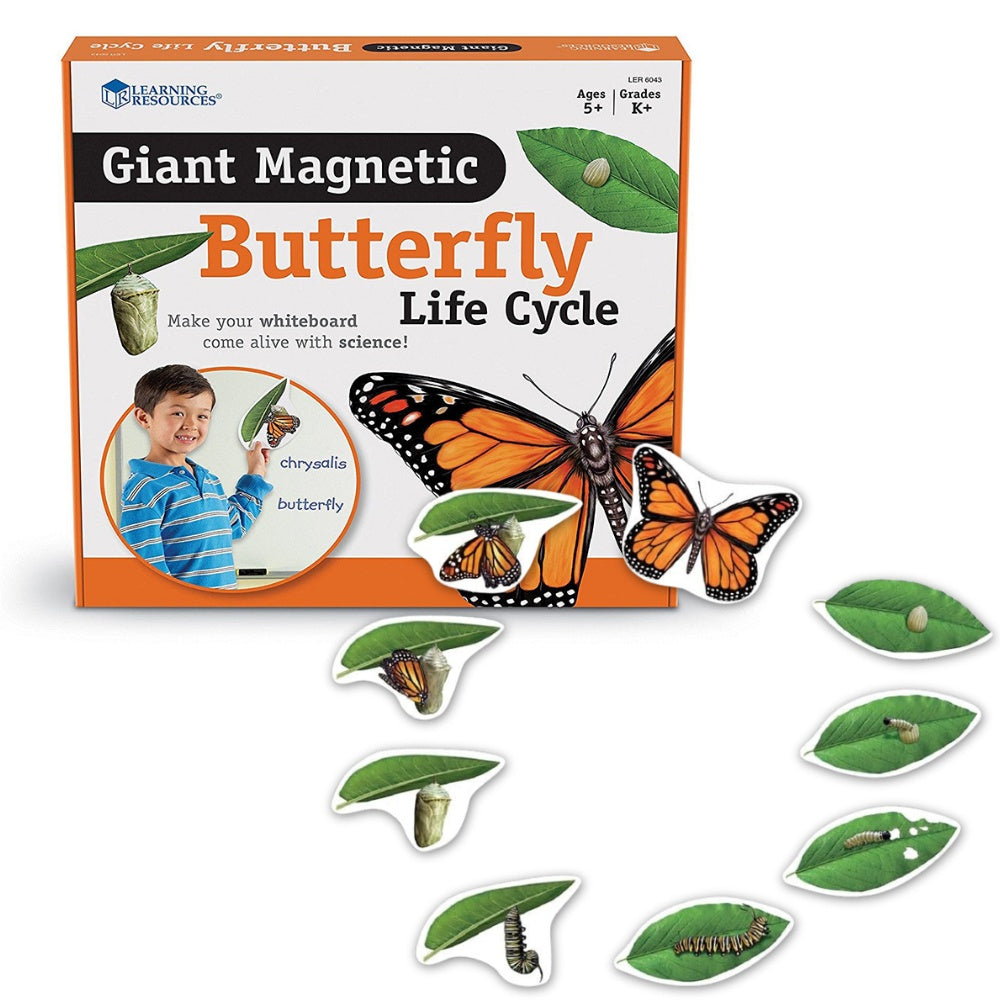 Classroom Science kit - photo 8