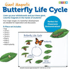 Giant Magnetic Butterfly Life Cycle: Classroom Science Demo Set - photo 2
