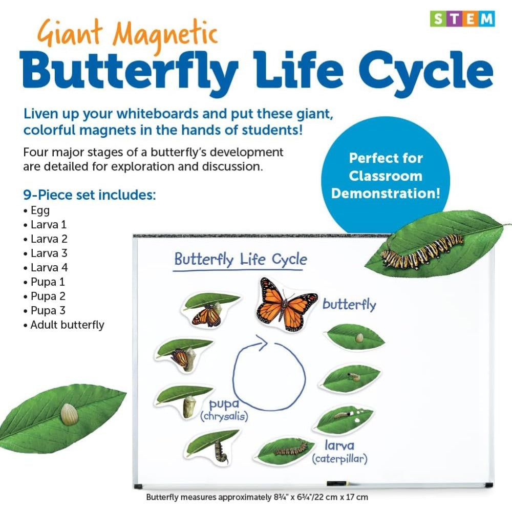 Classroom Science kit - photo 9