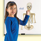 Classroom Science kit