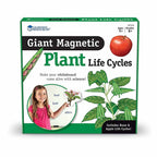 Giant Magnetic Plant Life Cycle: Classroom Science Demo Set